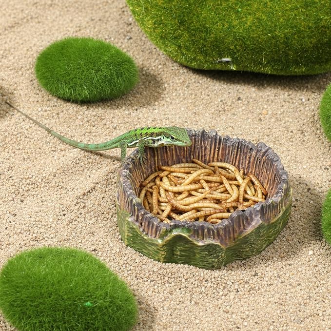 2 PCS Small Reptile Food Dish Reptile Water Dish Food Bowl Reptiles Feeding Foods Resin Terrarium Bowl for Bearded Dragon Gecko Frog Snake Chameleon Tortoise