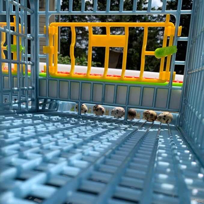 Cimuka Jumbo Quail Breeding Cage Indoor – 2 Layer Stackable Quail Pens & Coops | 38.6" x 24" x 35.8" Easy Clean, Rust-Free, Plastic Breeder System with Removable Divider & Egg Collection Trays