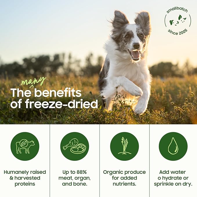 smallbatch Pets Freeze-Dried Raw Dog Food – Turkey Recipe –20 oz Small Bites – High Protein, Grain Free – Complete Meal or Topper – Made in USA with Organic Superfoods(20 Oz, Turkey)