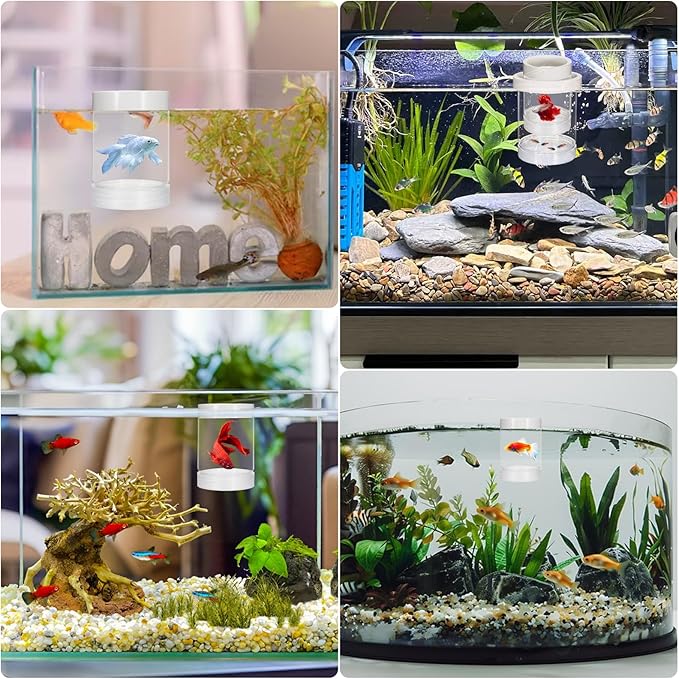 Breeder Box for Fish Tank, Aquarium Breeder Box Plastic Floating Baby Fish Separator for Aquarium Transparent Hatchery Isolation Incubator for Shrimp Betta Clownfish Guppy