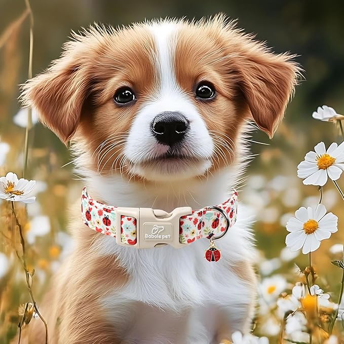 Ladybug Dog Collar for Small Dogs - Cute Spring/Summer Dog Collar, Lightweight Adjustable Cartoon Love Bug Garden Mom Dogs Collars with Quick Release Buckle XS