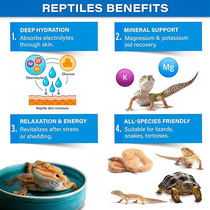 Premium ReptiSoak Electrolytes SOAK for Reptiles | Hydration & Recovery Bath Powder for Bearded Dragons, Geckos, Lizards, Tortoises | Electrolyte Reptile Supplement | Made in USA. Enjoy!