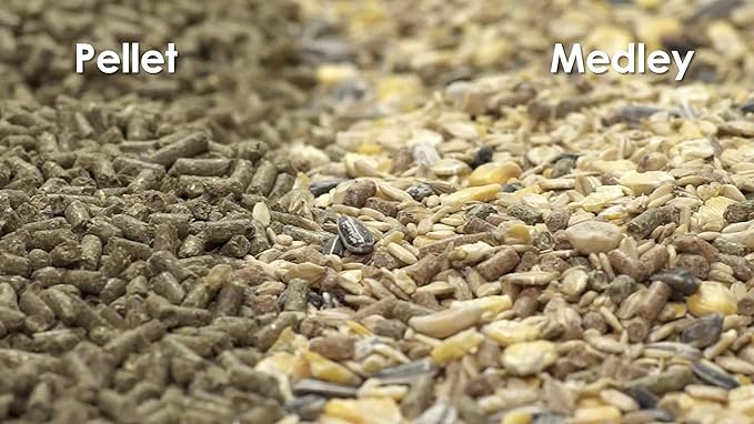 Kaytee Food from The Wild Natural Pet Rabbit Food, 4 Pound
