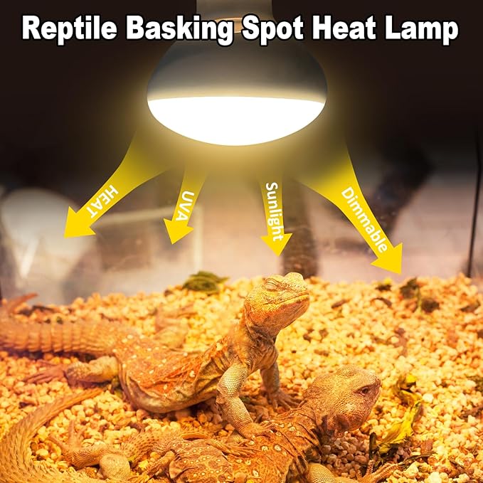 MIXJOY 100W Reptile Heat Lamp Bulbs, 2Pack Heat Lamp Bulbs for Reptiles Basking Bulbs UVA Daylight Basking Light Amphibians Heating Lamp Emitter for Lizard, Tortoise, Bearded Dragon Gecko, Chicken