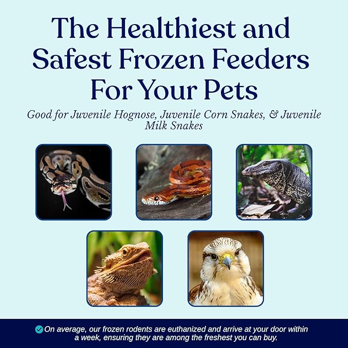 MiceDirect EST. 2003 75 Frozen Mice Fuzzie Feeders Snake Food for Juvenile Hognose Corn milks (1.25-1.5 in) (300 Grams Min)