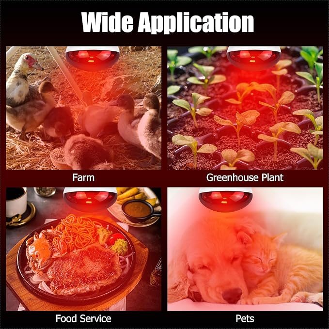 250W Infrared Heat Lamp for Chicken, Red Heat Light Bulb R125 2 Pack, Heat Lamp Bulb for Chick Croop, Reptiles, Pets, Food