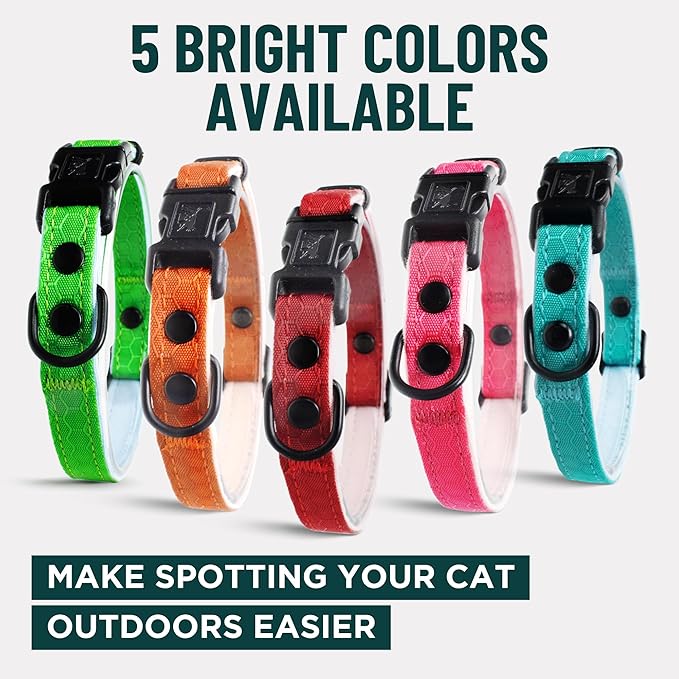 OutdoorBengal Orange Breakaway Kitten Collar - Ultra Safe Quick Release Cat Collar for Kittens Under 6 Months – Soft-Padded, Lightweight, Adjustable, Thin and Comfortable, No Bell (Orange, Kitten)