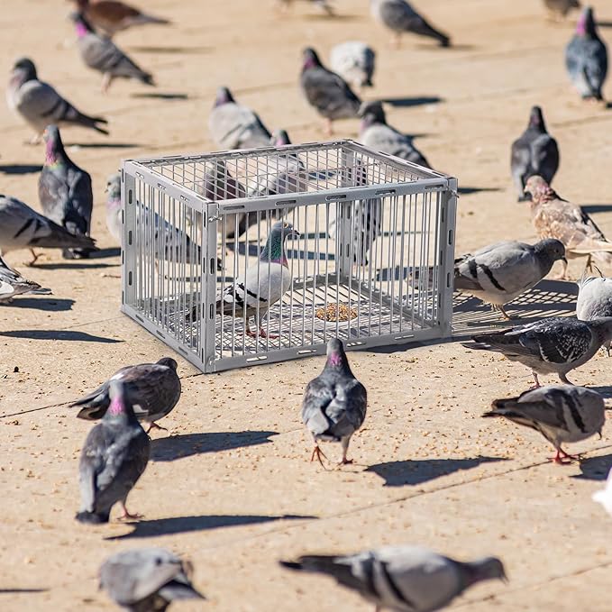 Pigeon Trap with Escape-Proof Design,Birds Trap with One-Way Entry,Chicken and Bird Traps Cage for Pigeon,Portable & Easy Assembly,Unharmful Made of High-Strength Iron with Anti-Rust Paint