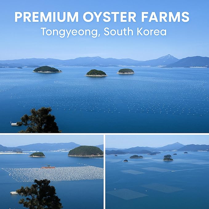 | Oyster Shell Flour 1lb – Finely Ground Calcium Material for Chickens, Ducks, Birds, Reptiles, Amphibians, and More – Crushed Oyster Shell Alternative | 굴껍질가루