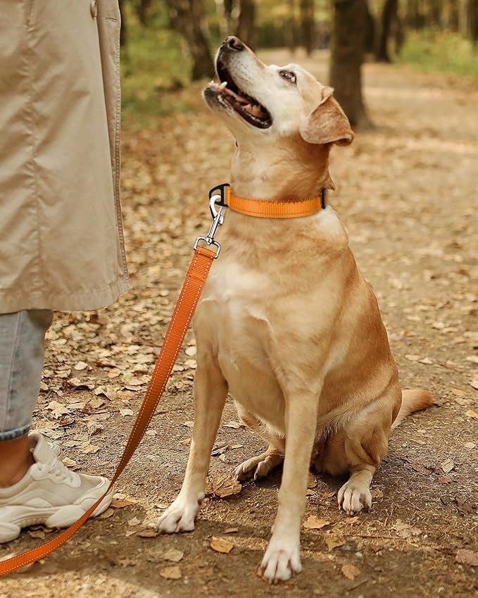 TagME Reflective Nylon Dog Collars, Adjustable Classic Pet Collar with Quick Release Buckle for Large Dogs, Orange, 1.0" Width