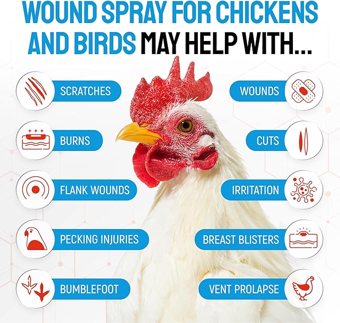 SILVER GRADE Wound Spray for Chicken from Birds & Chicken Antibiotics Alternative to Help with Pecking Sores, Bumblefoot, Cuts – Poultry Spray with Silver – GMOs Free – 4-Oz Bottle