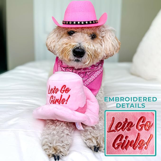 Haute Diggity Dog Cowgirl Hat Plush Dog Toy for Medium & Large Dogs, Western-Inspired Stuffed Dog Toys with Interactive Squeaker, Mesh Lining, Machine-Washable, Durable & Safe, One Size, Pink