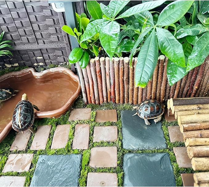 Reptile Basking Platform 6 × 6", Extra Large Reptile Slate, Basking Rock, Slate Tiles Rocks for Reptiles, Terrarium Bowls for Bearded Dragon Tortoise Turtle Ball Python Snake Lizard Gecko