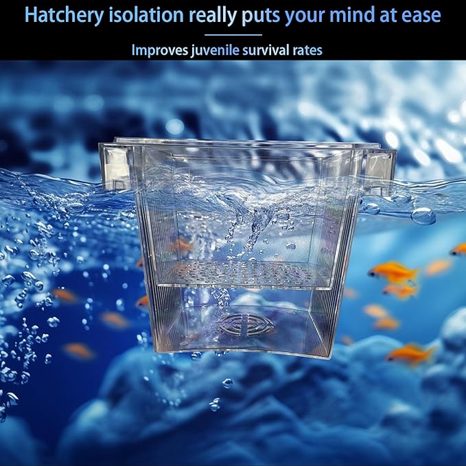 WEAVERBIRD Aquarium Fish Breeder Box, Acrylic Fish Isolation Breeding Box, Square Hatchery Box Hatching Incubator Box for Baby Fish Shrimp Clownfish Guppy