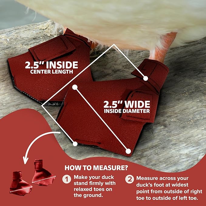 Duck Shoes for Injured Feet – Protective Neoprene Footwear for Ducks, Protective Shoes for Birds with Injured feet, Bumblefoot Relief - Small, 2.5’’ Max. Inside Width - Red