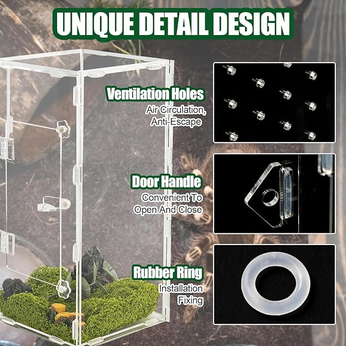 Acrylic Jumping Spider Enclosure, Reptile Terrarium Enclosure with Front Opening Door, 5.91×5.91×11.88 Inch Reptiles Habitat Tank Breeding Box for Tarantula Insect Snake Lizard