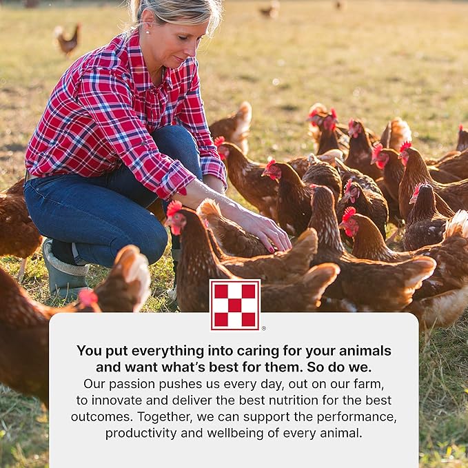 Purina Layena + High Protein Layer Chicken Feed (40 Pound)