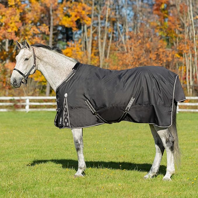 Equinavia Norse Lightweight 100g Fill Horse Rain Blanket | Waterproof Turnout Sheet - Black - 66 in - Black - 72 in