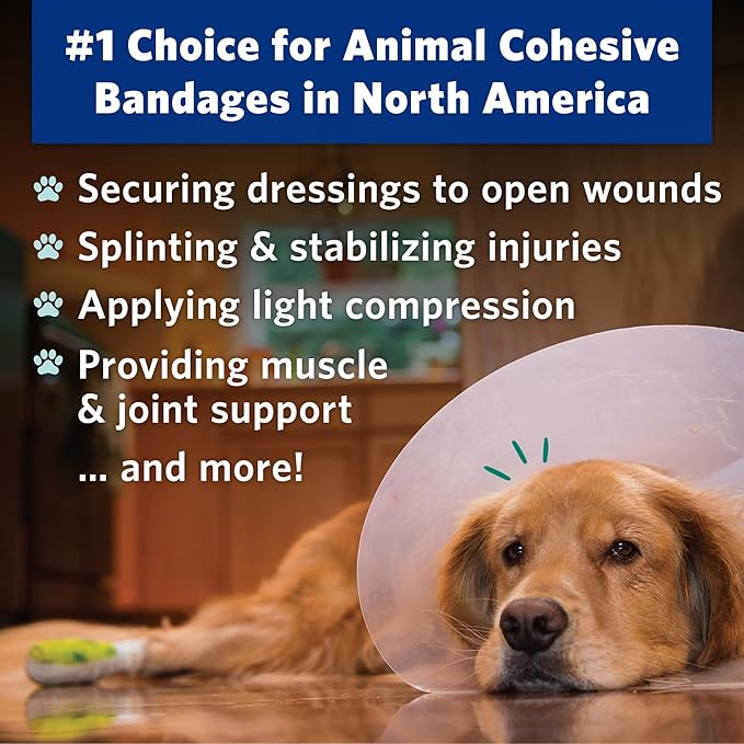 PetFlex Pet Pack – Flexible Self-Adhering Elastic Bandage for Wound Care – First Aid Wrap for Small Animals Like Dogs, Cats, and Other Pets - 2 inch, 36 Rolls