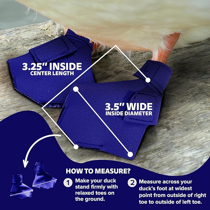 Duck Shoes for Injured Feet – Protective Neoprene Footwear for Ducks, Protective Shoes for Birds with Injured feet, Bumblefoot Relief - Medium, 3.5” Max. Inside Width - Royal Blue