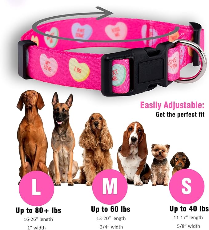 Native Pup Valentine’s Dog Collar- Valentines Day Pet Collars- Valentine Girly Hearts- Pink Red Heart- Cute Boy Girl Puppy Gift- Adjustable for Small, Medium, Large Breeds (Candy Hearts, Small)