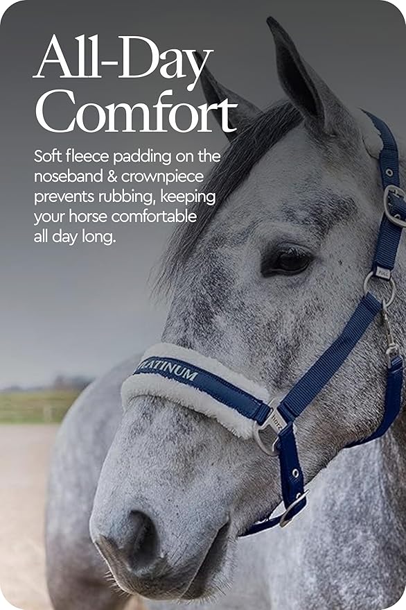HORZE Howard Soft Fleece Padded Adjustable Polyester Horse Halter - Peacoat Dark Blue - Shetland