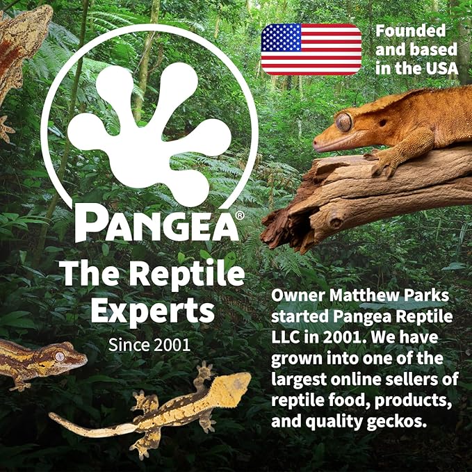Pangea Ultimate Eco Dish, Crested Gecko Food and Water Bowl for Terrestrial Lizards, Durable Silicone Feeding Accessory for Reptile Terrariums 3.125in x 5.5in (Mossy Pine)