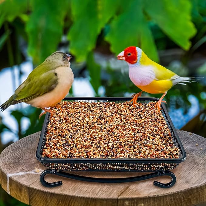 MIXXIDEA Ground Bird Feeder Tray, Metal Platform Mesh Seed Tray for Bird Feeders, Great Attracting Garden Yard Decoration for Wild Birds Squirrels Dove (1 Pack)