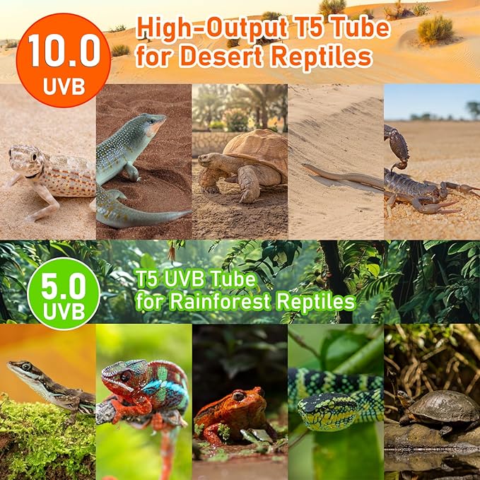 Bearded Dragon UVB Light Bulb T5 10.0,24W UVA UVB HO Reptiles Light Bar Bulbs 22 Inch for Bearded Dragon, Leopard Gecko Tortoise, Reptile & Amphibian Replacement Lamp Bulb 2 Pack