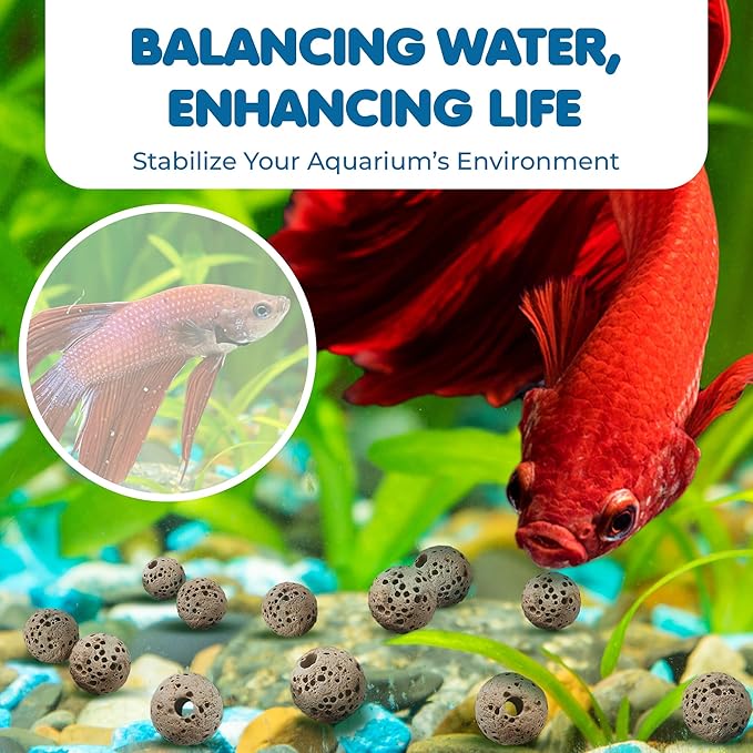 SunGrow 50 Pumice Beads for Betta Fish, Volcanic Lava Rocks for Filtration, 0.2" Aquarium Decor, Anchor Plants in Pores, Helps with Aeration, Hiding Spot for Fry in Freshwater and Saltwater Tanks