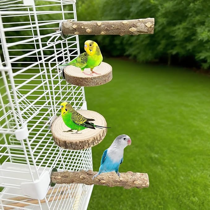 Brid Perch Stand 7PCS Natural Perches for Parakeets Include Ladder for Birds cage,Bird Cage Accessories for Parakeets, Cockatiels, Conures, Lovebirds (Nature Wood, Free Size 7pcs)