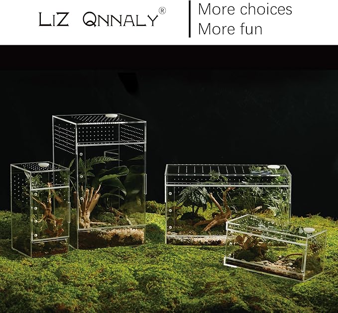 Acrylic Terrarium for Reptiles & Spiders – Small/Medium/Large Leak-Proof Enclosure (Horizontal/Vertical) | Ideal for Tarantulas, Jumping Spiders, Frogs & Geckos(Small Horizontal)