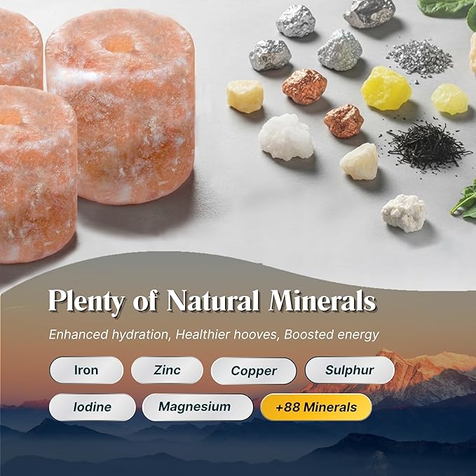 RESISTANCE Himalayan Salt Lick 2lb Block on Rope for Horses, Cattle, Deer, Goats, and Livestock – Pack of 2 Blocks