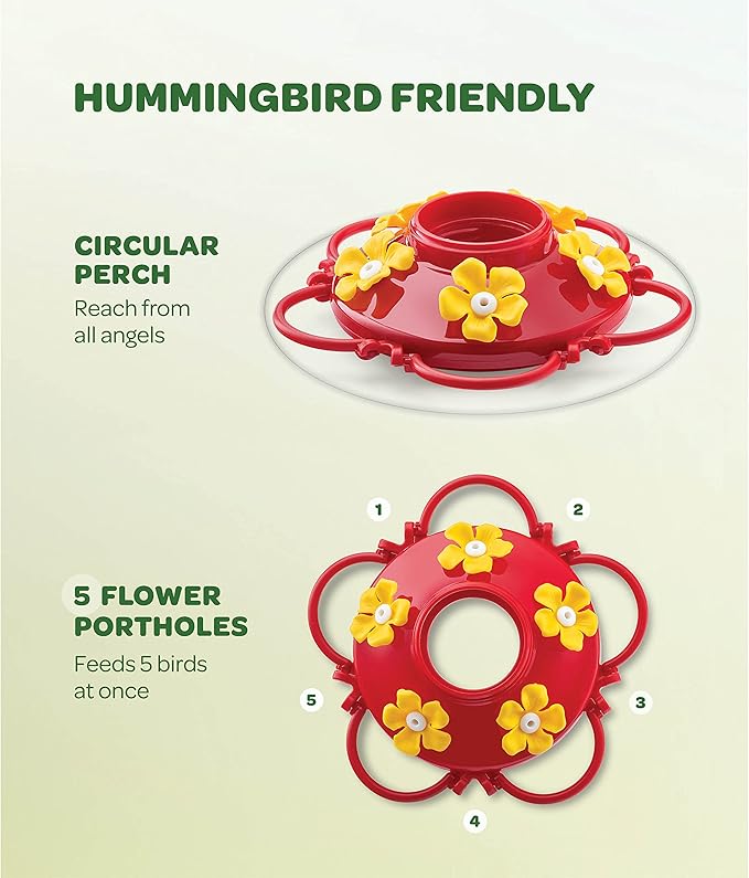 Hummingbird Feeder 10 oz [Set of 2] Glass Feeders for Outdoors, with Built-in Ant Guard - Circular Perch with 5 Feeding Ports - Wide Mouth for Easy Filling/2 Part Base for Easy Cleaning