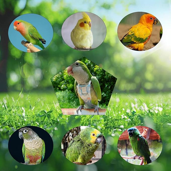 Snap-Closure Parrot Diapers with Adjustable Leash - Washable Bird Flight Suits for Cockatiels, Sun Conures & Quaker Parrots Secure & Chew-Resistant (M – Little Sun/Budgie + 1m Rope)
