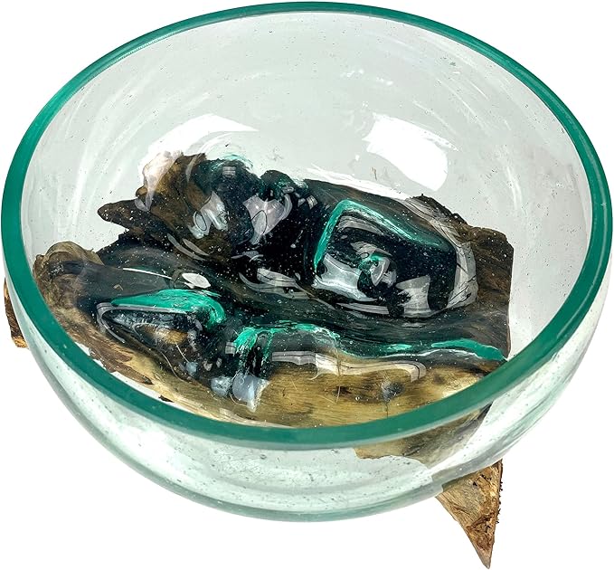 Molten Glass Bowl on Driftwood, 10 Inch Low Wide Hand Blown Decorative Bowl, Unique Natural Wood and Glass Sculpture, Table Centerpiece, Planter or Terrarium, Driftwood and Glass Bowl Decor for Home