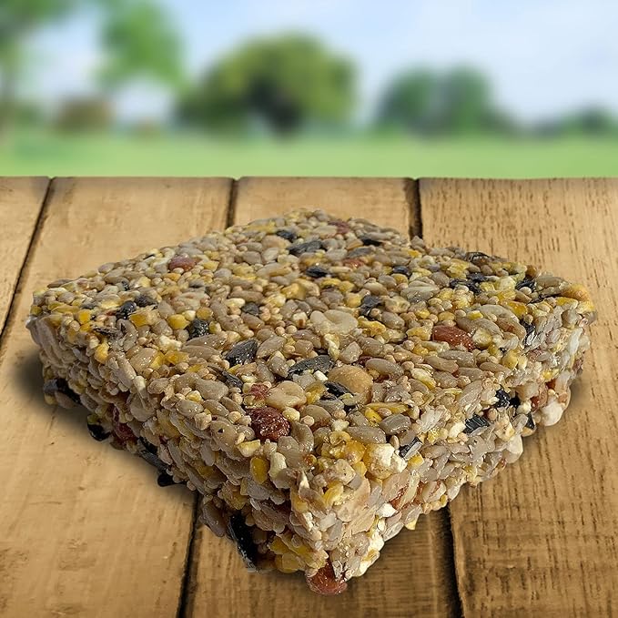 Blue Seal Woodpecker Suet Treat Bars for Wild Birds - No Mess Suet Feed, Food for Woodpeckers, Cardinals, Sparrows & More - 8 oz Bird Seed Cakes (Pack of 12)