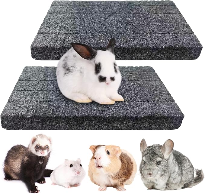 BNOSDM 2Pcs Chinchilla Scratch Foot Pads Hamster Grinding Claw Pads Natural Bunny Lava Stone for Teeth Rabbit Scratching pad Chew Toy for Guinea Pig Ferret Rabbit Mouse(Black)