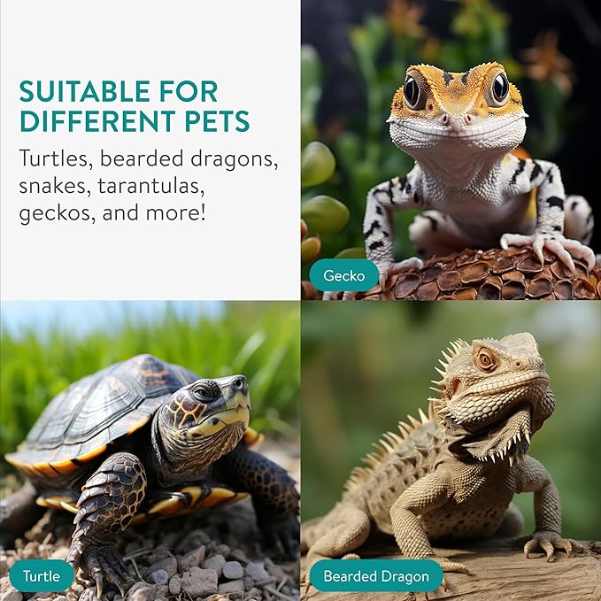 Navaris Cactus Shaped Reptile Hide Out - Reptile Accessories for Leopard Gecko, Snake, Tortoise, and More - Unique Hideout for Vivarium Decorations - Large