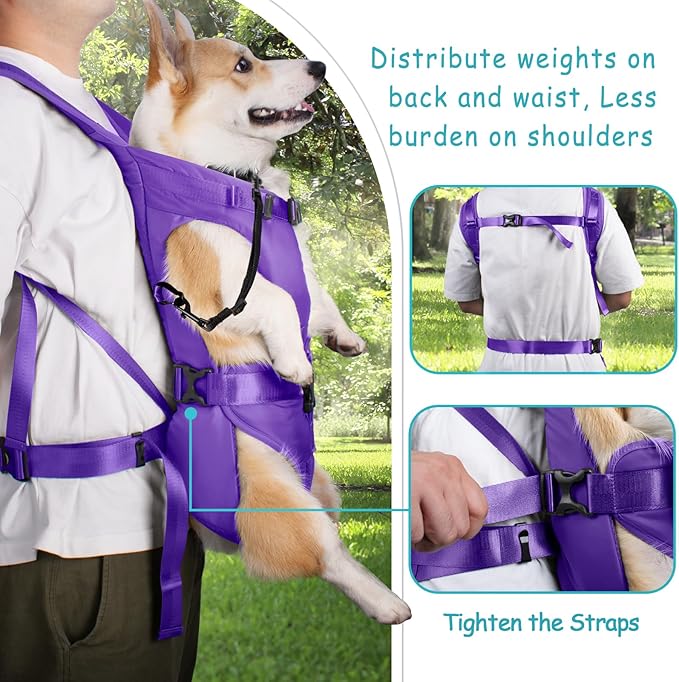 PetBonus Pet Front Dog Carrier Backpacks, Adjustable Pet Backpack, Legs Out Easy-fit Puppy Chest Carrier for Medium Small Dogs, Hands Free for Hiking, Cycling (Purple, S)
