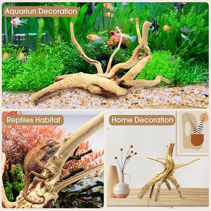 Jorewood Natural Small Spiderwood Driftwood for Aquarium Decor Rptile Fish Tank Decoration Assort Branch 4-7'' 8 Pcs