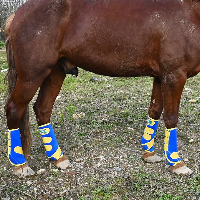 Equine Sport Horse Boots Set of 4 – Neoprene Leg Protection with Durable Hook & Loop Straps, Breathable & Comfortable Fit for Training, Riding, and Performance（Blue, Medium）