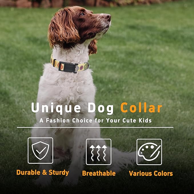 Dog Collar, Classical Indian Spirit Boys Girls Puppy Collar for Small Medium Large Dogs, Adjustable Soft Indian Pet Collar with Safety Buckle for Male Females(Beige,XL)