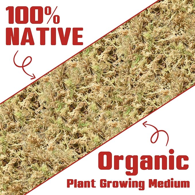 Halatool Premium New Zealand Sphagnum Moss, 100g(8L When Hydrated), for Orchid Repotting Succulent Sarracenia Potted Plants Gardening & Reptiles