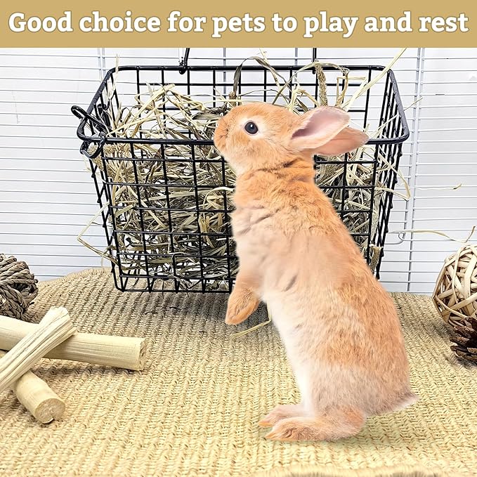 kathson Rabbit Scratching Pad 2 Pcs Natural Sisal Bunny Scratch Mat, Small Animals Nail Scratcher Guinea Pigs Grinding Claw Rug Pet Cage Flooring for Biting Sleeping Nesting (15.75 * 11.8 in)