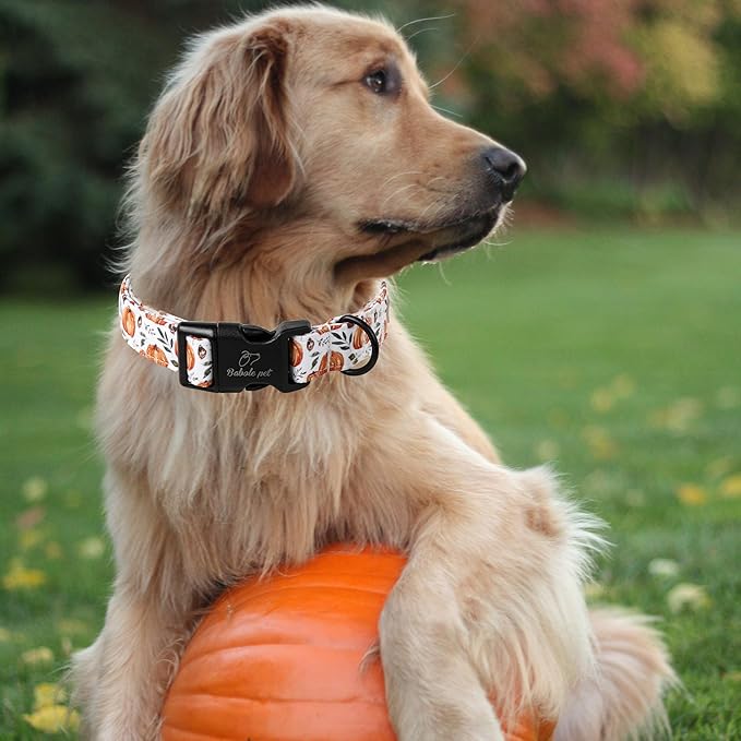 Fall Dog Collar, Cute Orange Pumpkin Pattern Puppy Collar, Soft Comfort Adjustable Holiday Thanksgiving Dog Collars for Small Medium Large Boy&Girl Dogs XS