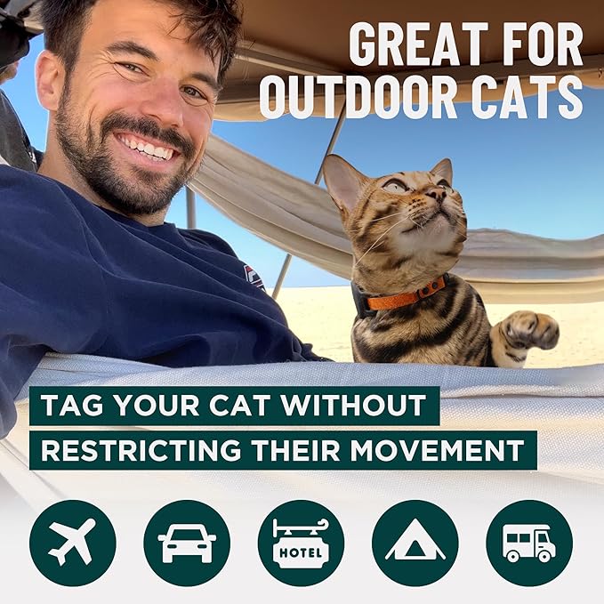 OutdoorBengal Orange Breakaway Kitten Collar - Ultra Safe Quick Release Cat Collar for Kittens Under 6 Months – Soft-Padded, Lightweight, Adjustable, Thin and Comfortable, No Bell (Orange, Kitten)