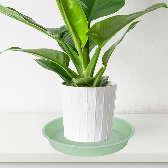 6 Pack of 12 inch Plant Saucer, Heavy Duty Plastic Plant Saucer 12" Round, Durable Plant Tray for Pots, Plant Saucers for Indoors, Plant Trays for Planter (12", Light Green)