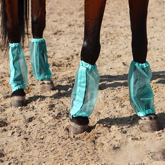 Universal Size Horse Leggings Fine Mesh Greatly Reduce Stomping Breathable Horse Boots Leg Wraps (Set of 4) Summer Mint