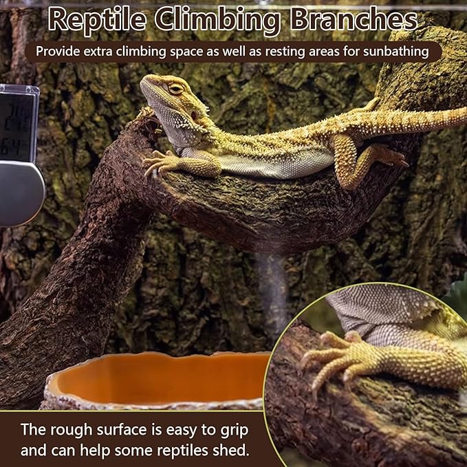 BNOSDM 2Pcs Natural Reptile Climbing Branches Decor,1.3-1.8" Thick Natural Snake Climbing Forest Wood with Plant Leaf Decor,Lizard Forest Branch,Geckos Tank Tree Trunk Accessories for Bearded Dragons